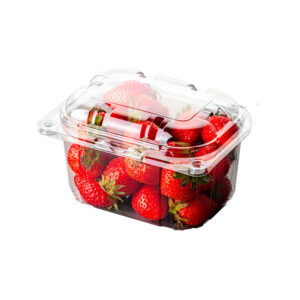 Емкость РКП-250 (ПЭТ)